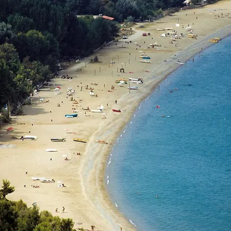 Skotina * Paralía Skotínis
