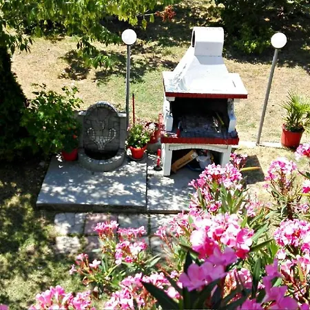 Skotina